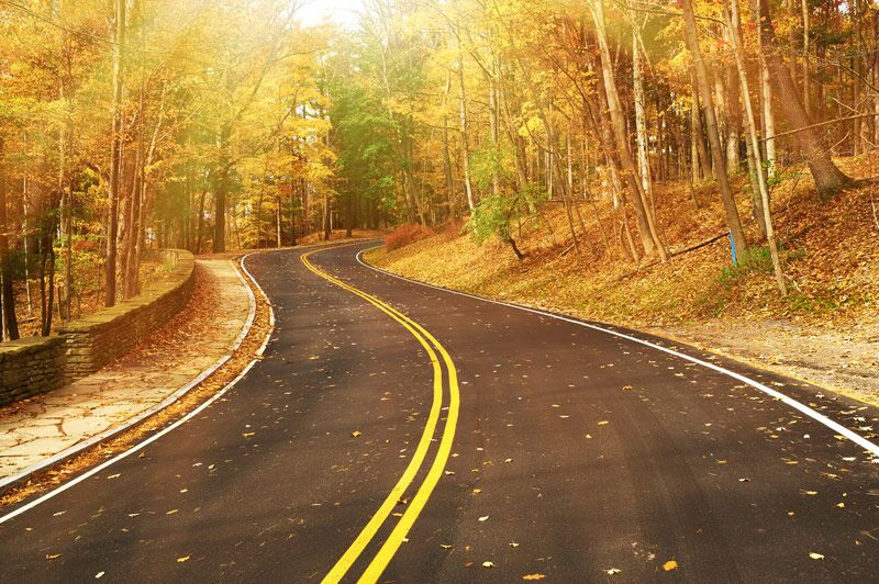 Safety Tips for Driving in Fall Weather Conditions